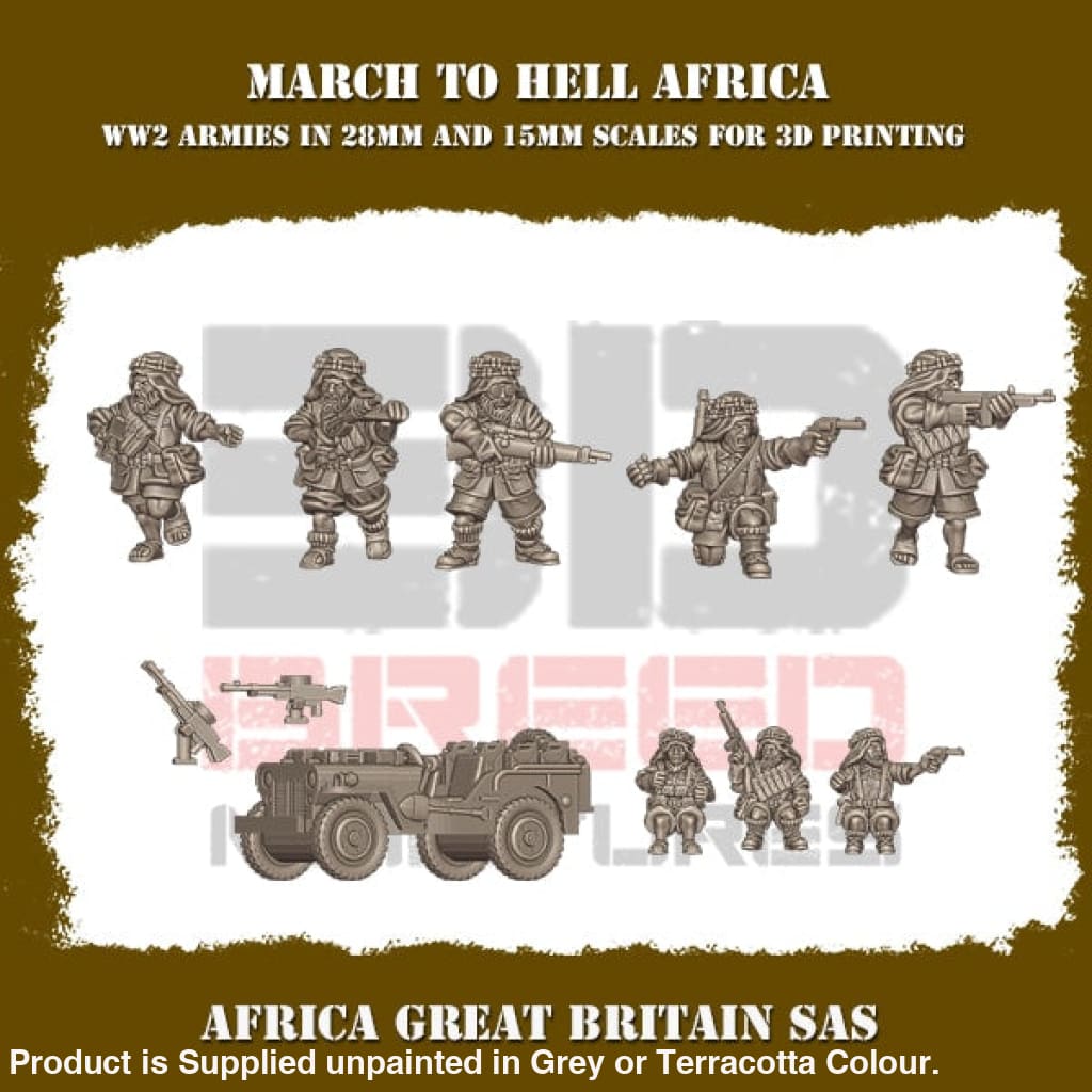 British Army Africa SAS