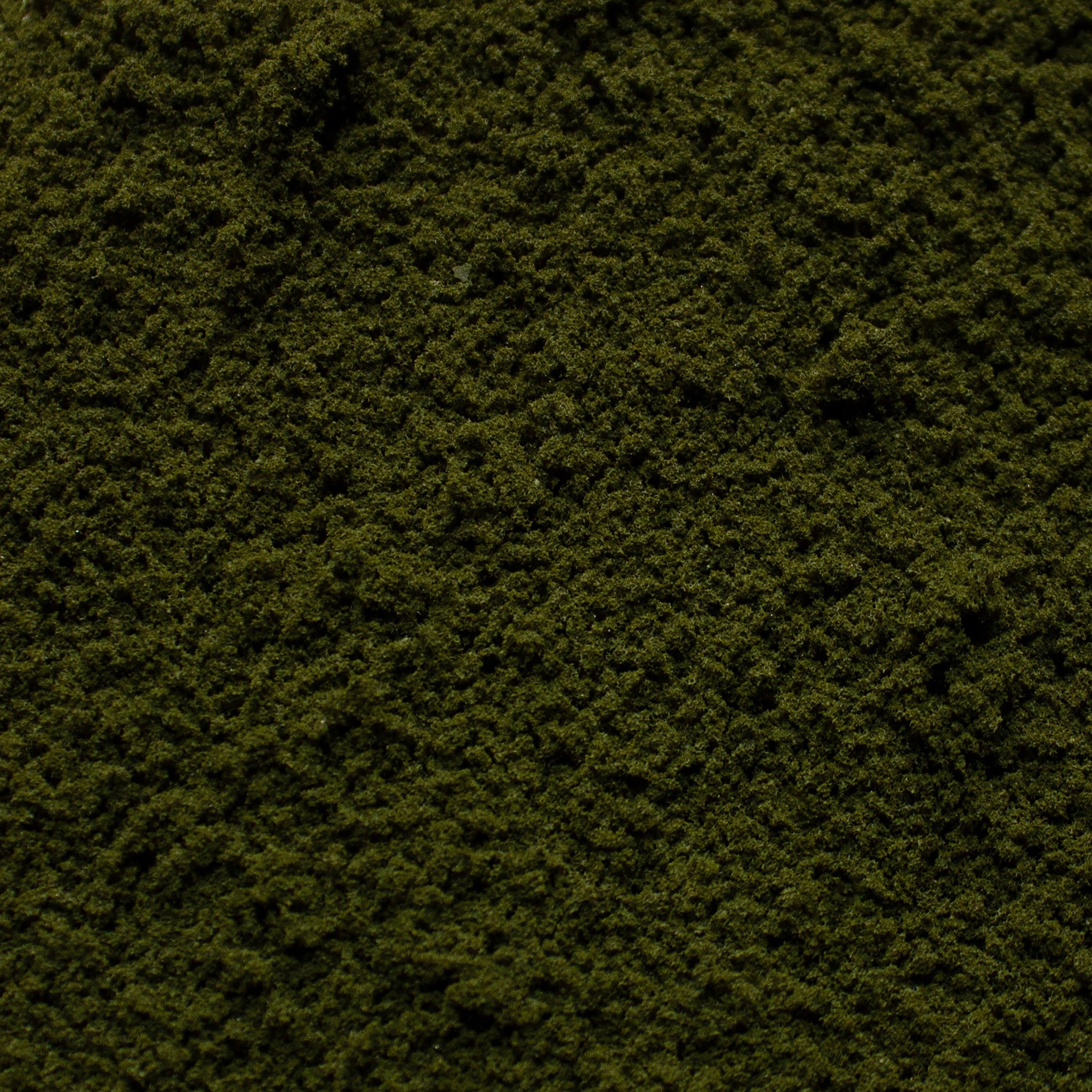 Coarse Flock - Scorched Grass