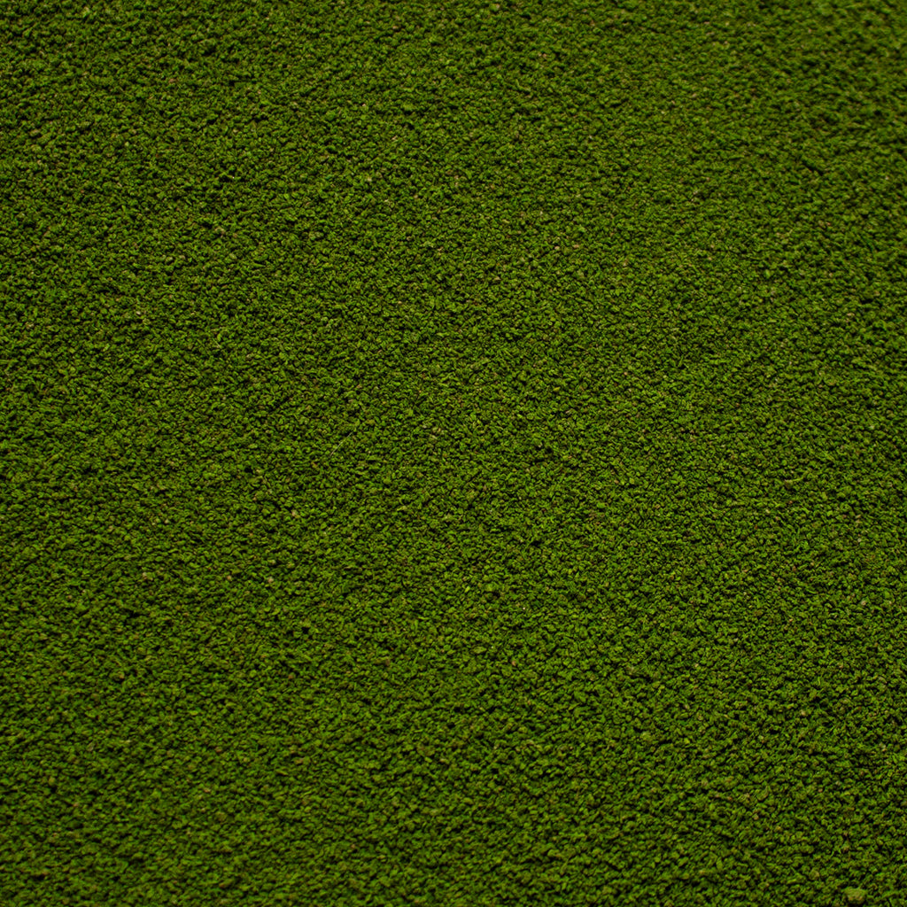 Fine Flock - Woodland Fern Light Green