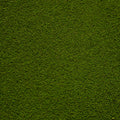 Fine Flock - Woodland Fern Light Green