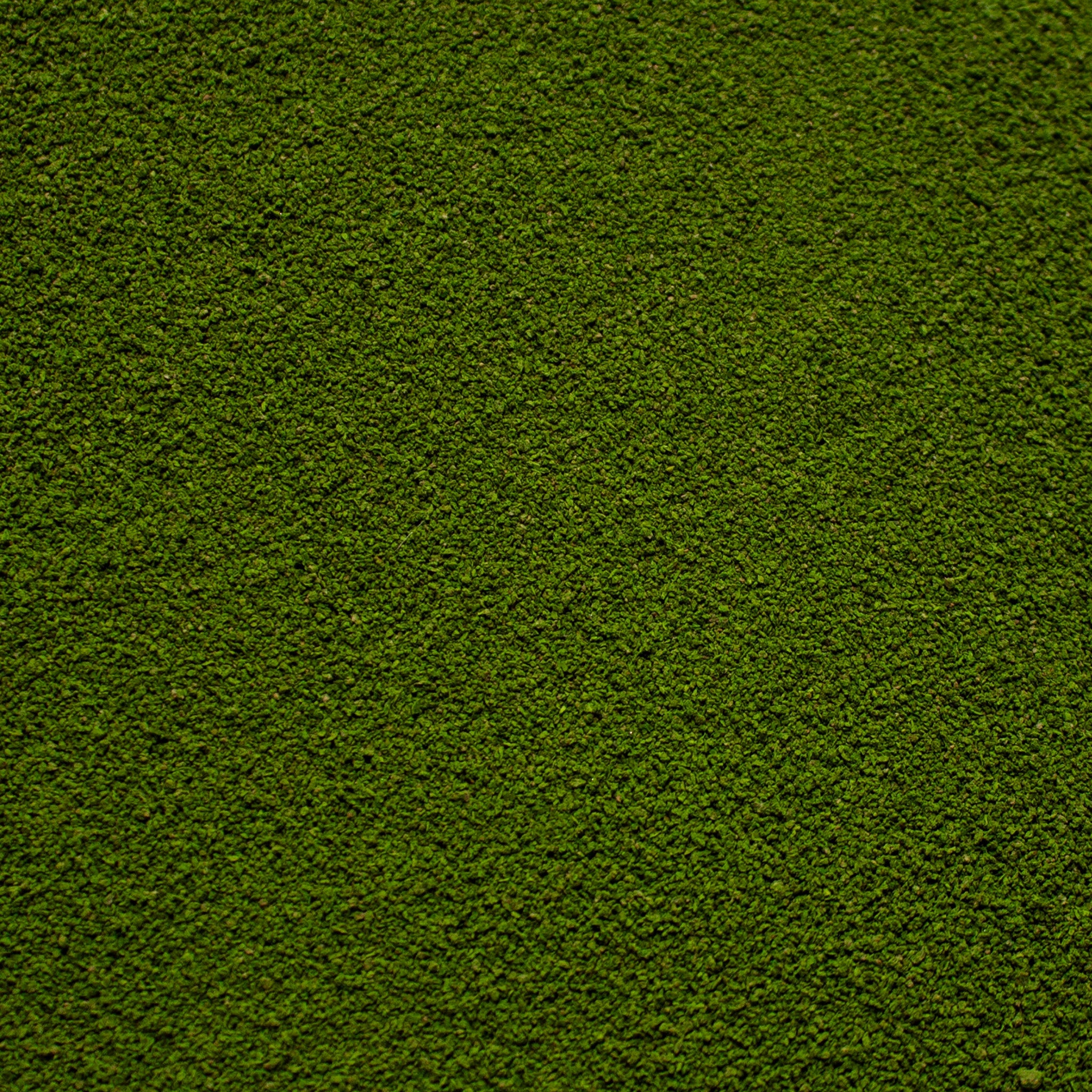 Fine Flock - Woodland Fern Light Green