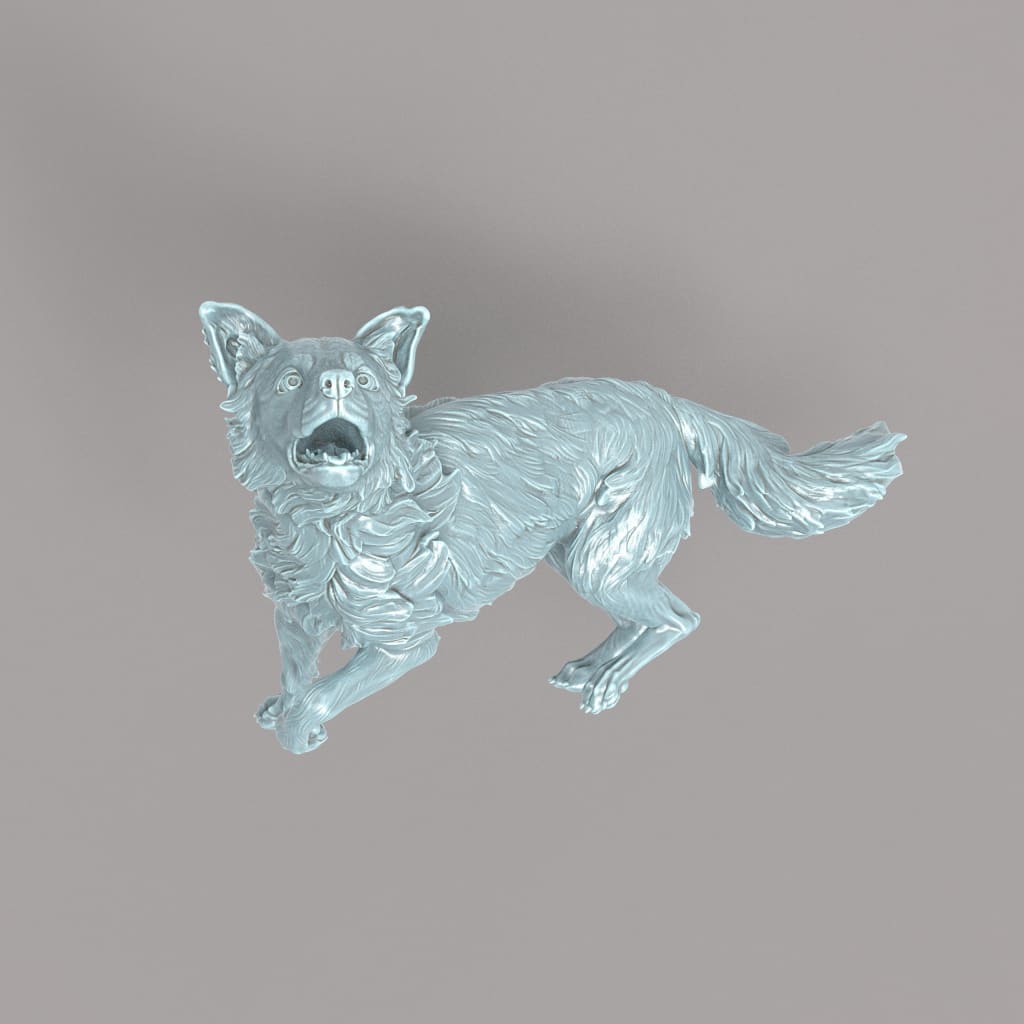 132s-002 Border Collie Running x 2