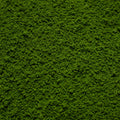 Coarse Flock - Soft Moss