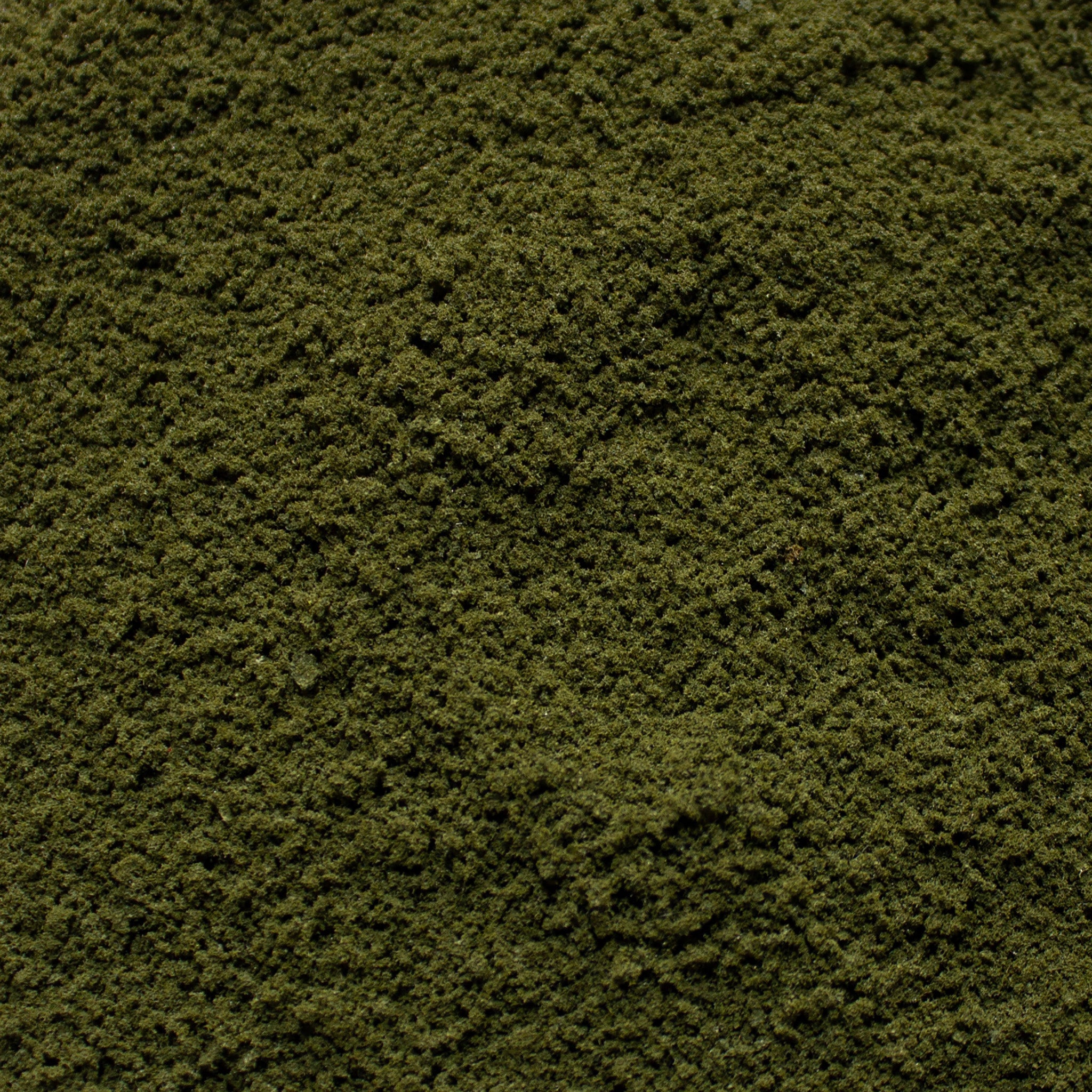 Coarse Flock - Olive Grove