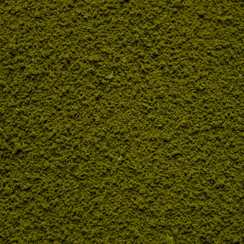 Coarse Flock - Forest Lake