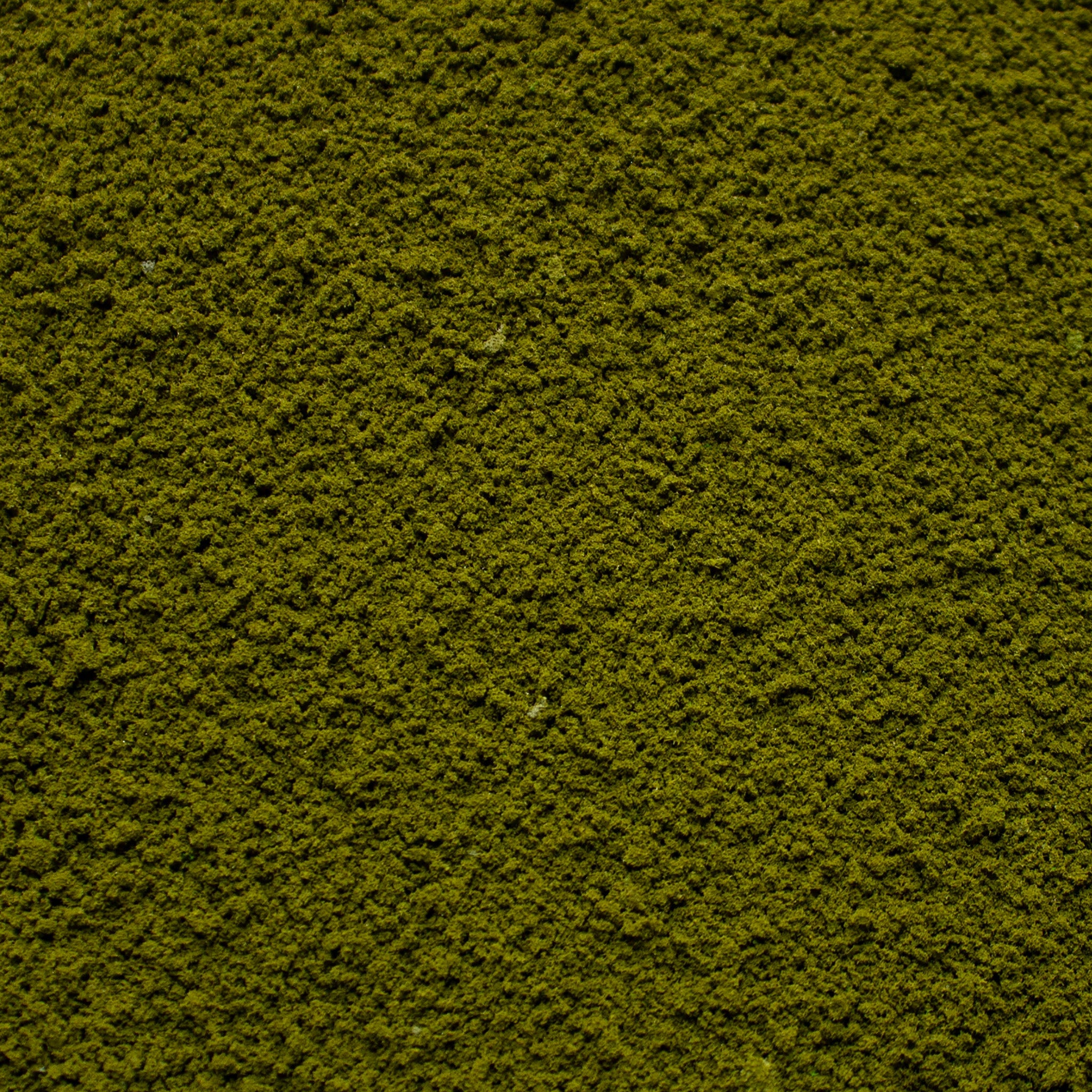 Coarse Flock - Forest Lake