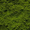 Coarse Flock - Rainforest Canopy