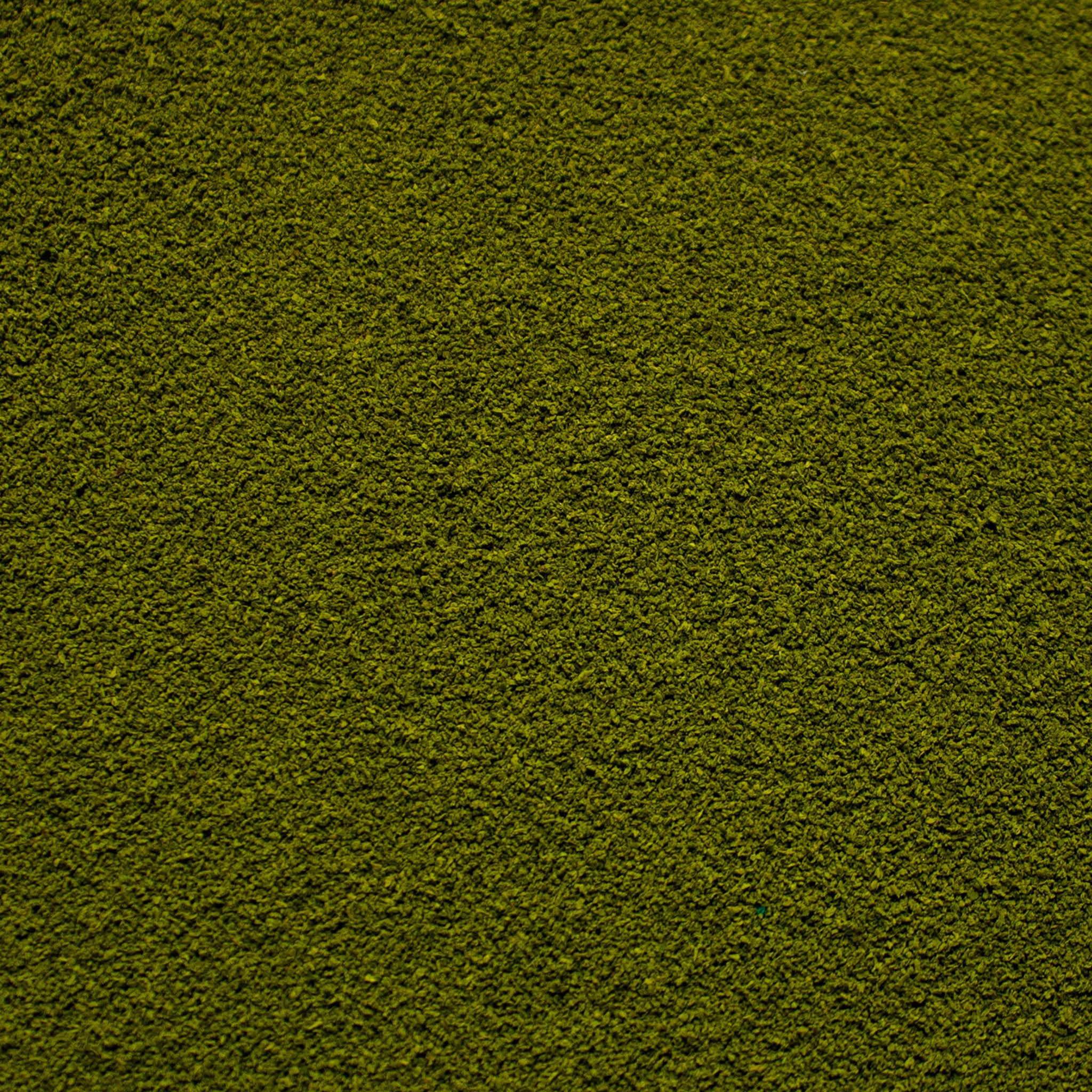 Fine Flock - Rainforest Canopy