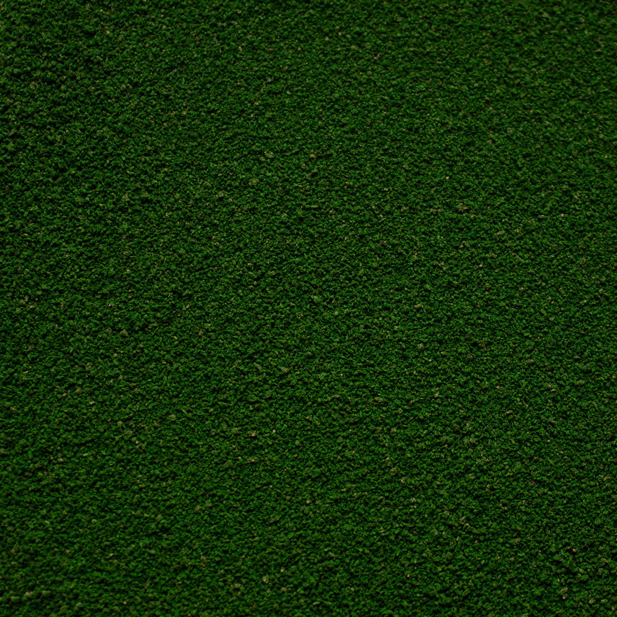 Fine Flock - Woodland Fern Mid Green