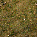 Base Ready Fields Of New Zealand