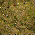 Base Ready Mediterranean Soil