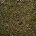 Base Ready Patchy Plains