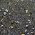 Base Ready Shining Gold
