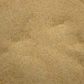 Base Ready Tropical Beach