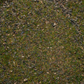 Base Ready Patchy Plains (Small Scale)