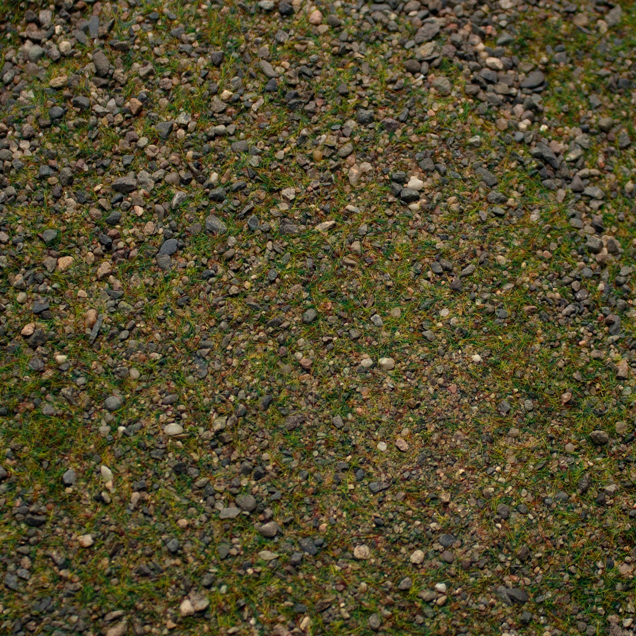 Base Ready Patchy Plains (Small Scale)