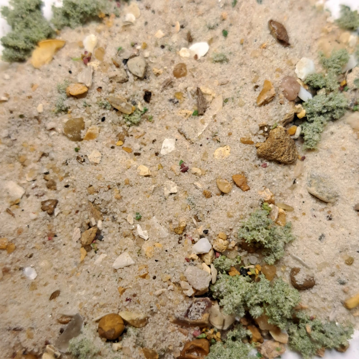 Mixed Terrain Pot - Life's a Beach