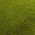 Modelling Coloured Sand - Apple Green