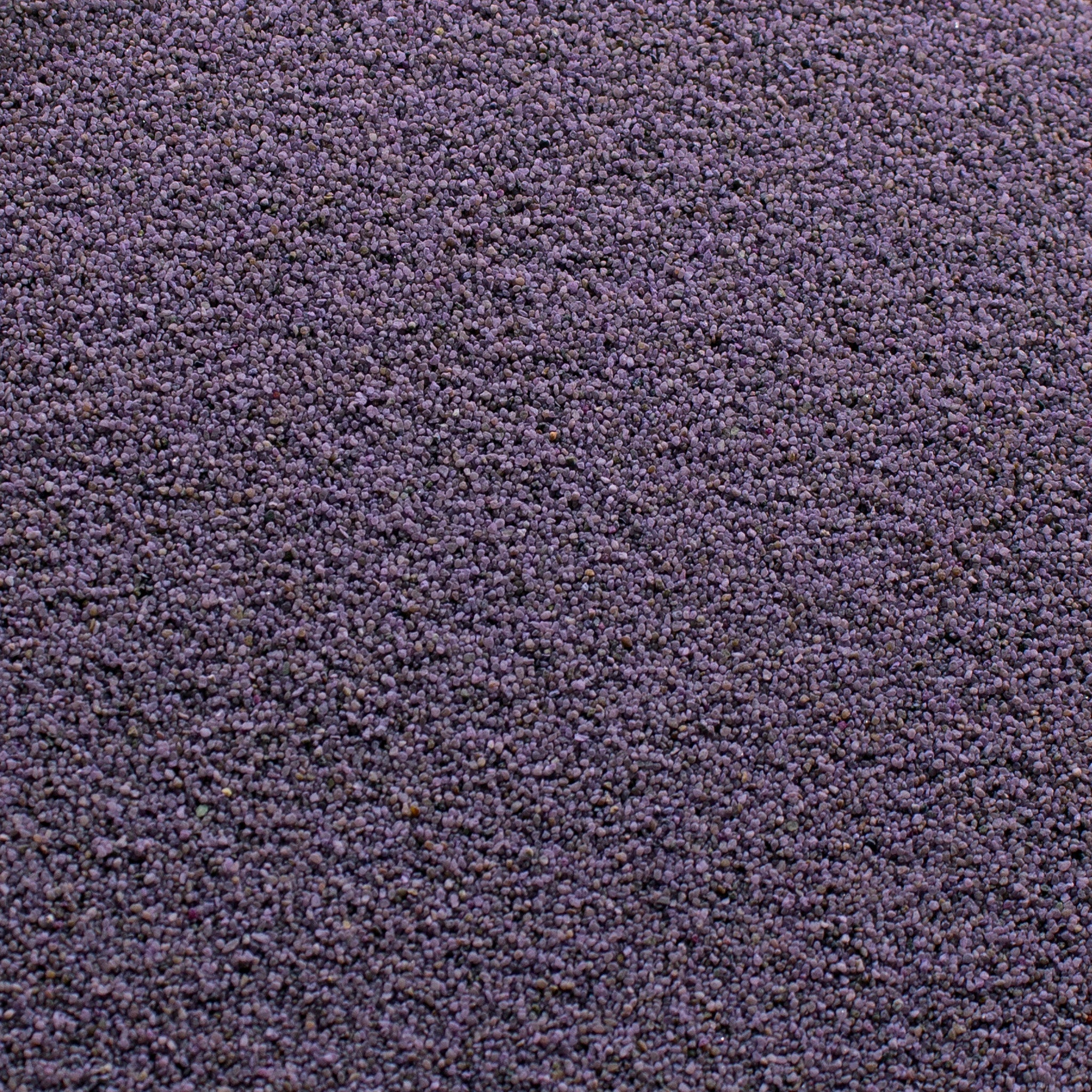 Modelling Coloured Sand - Purple Clover