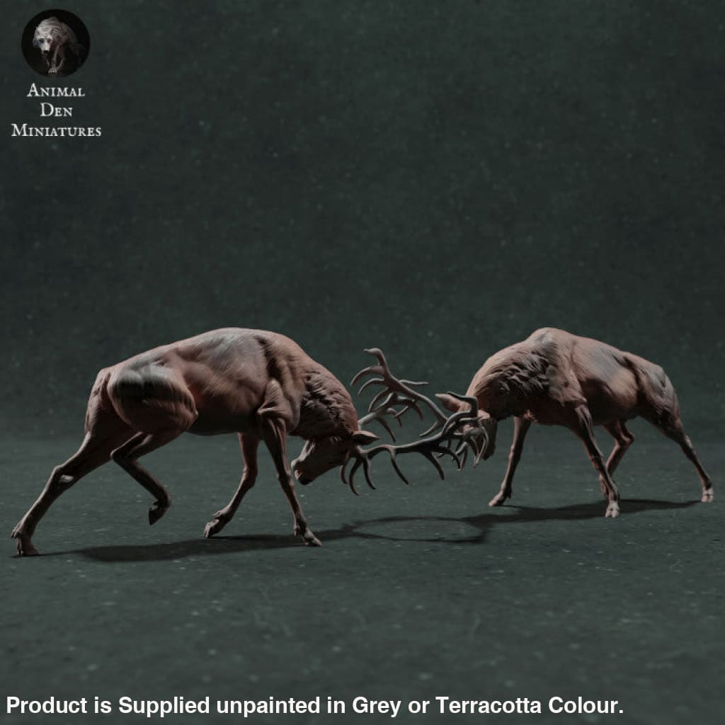 ADM022 Red Deer Stag Fighting