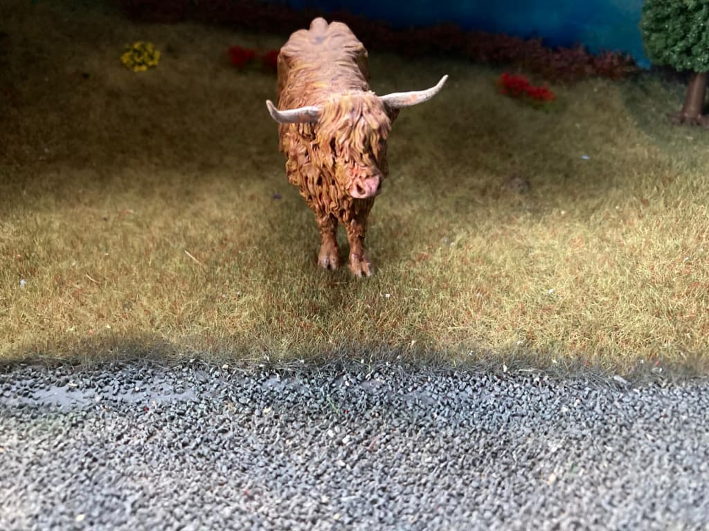 ADM1502 Highland Cow Walking x 1