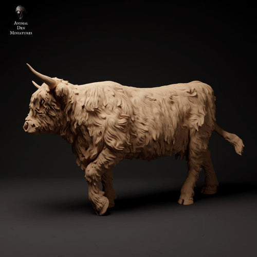 ADM1502 Highland Cow Walking x 1