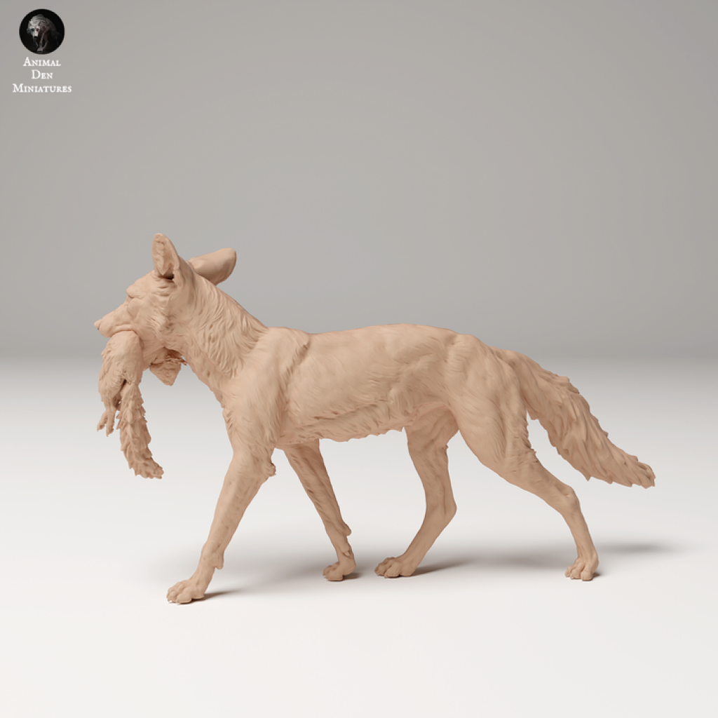 ADM2009 Red Fox holding a Squirrel x 1