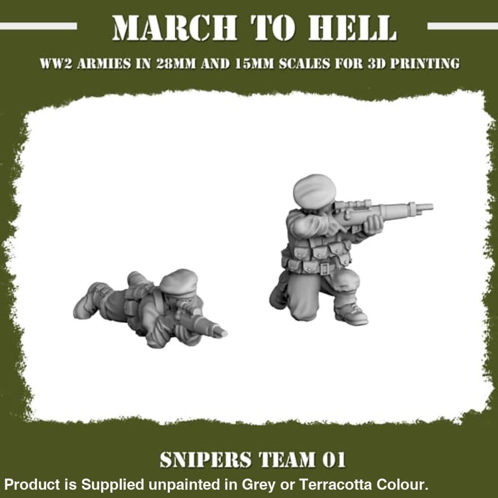 British Army Sniper Team