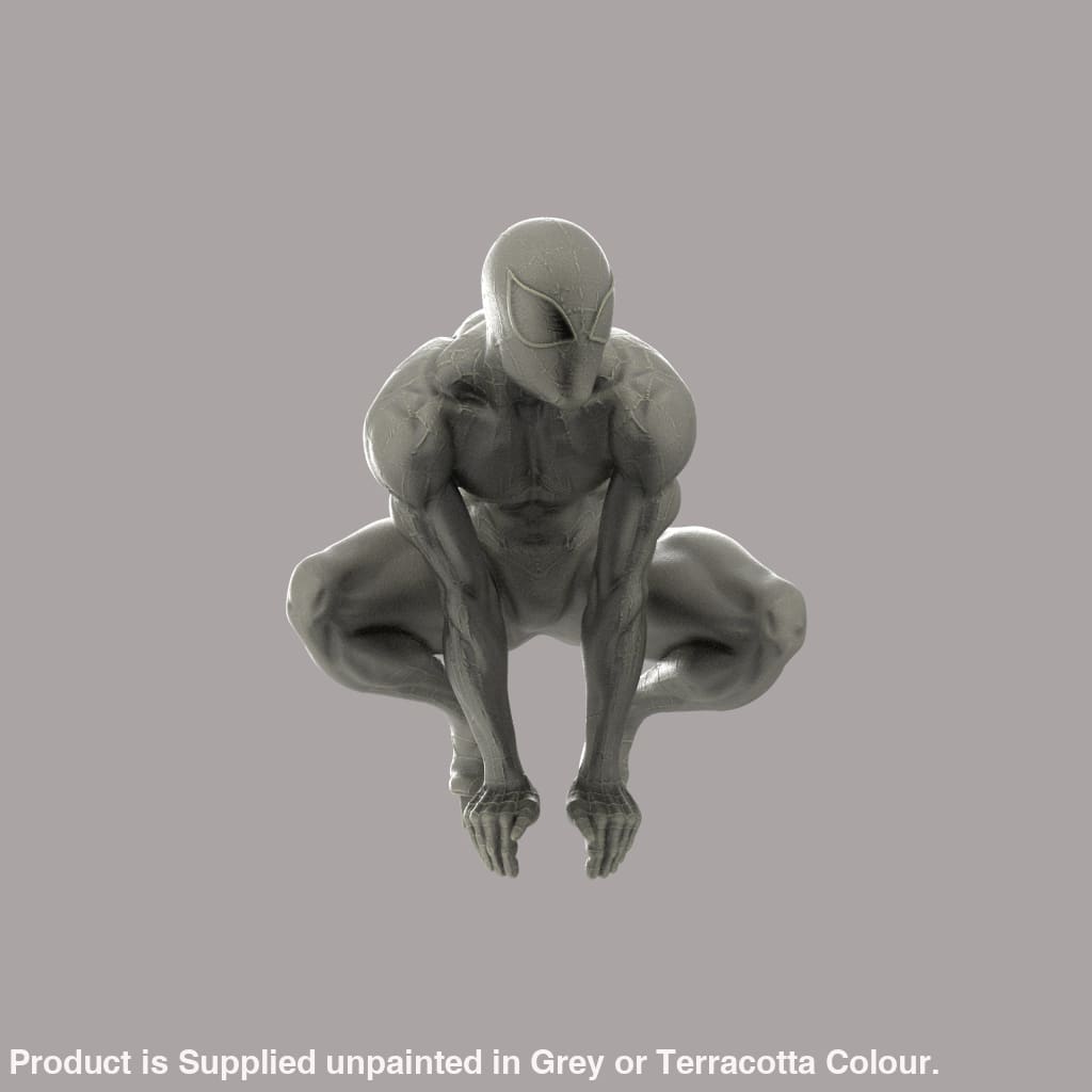 MM2041 Male in Spider Suit