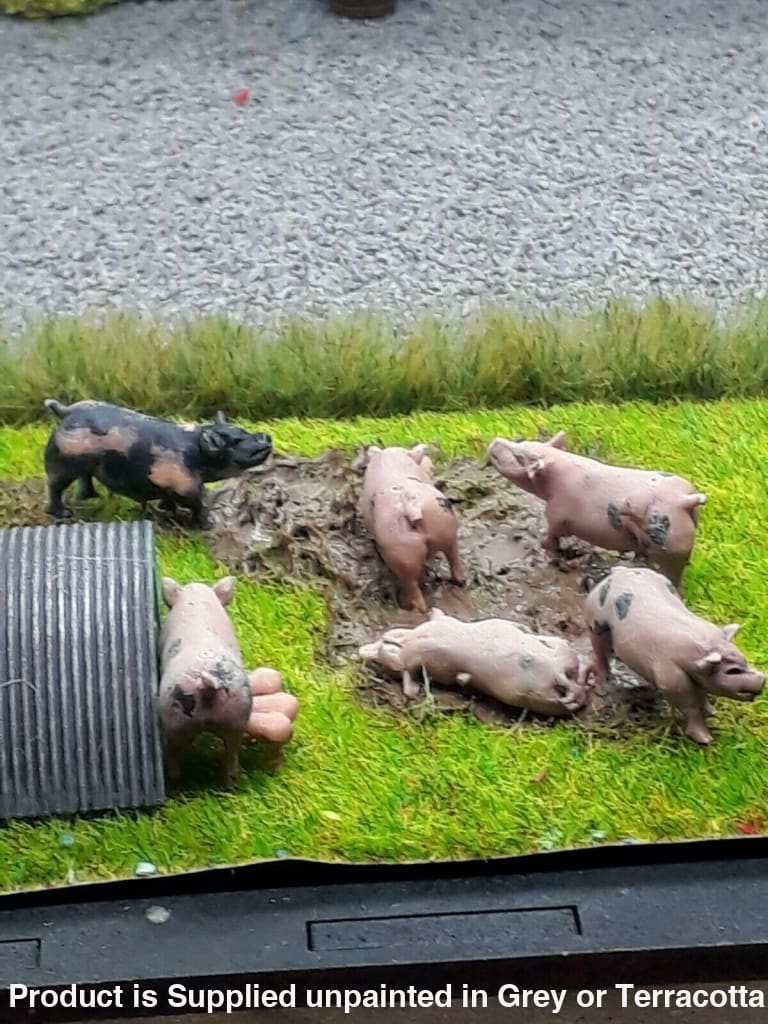 MMA026 Pig Sty and Pig Scene