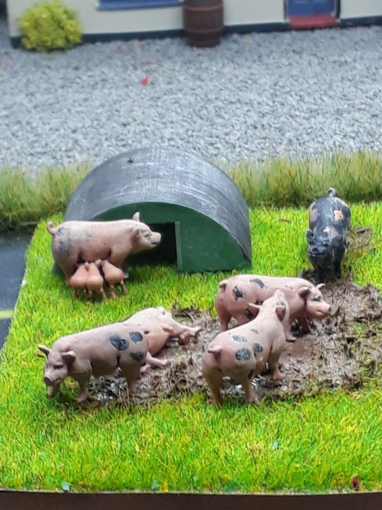 MMA026 Pig Sty and Pig Scene