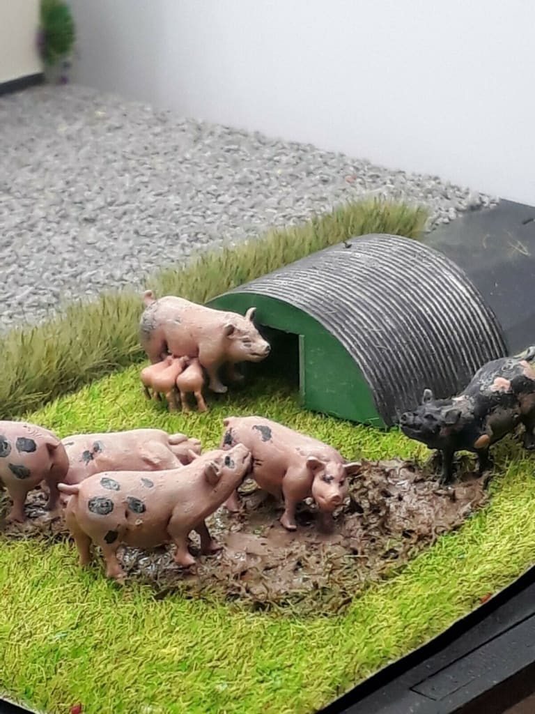 MMA026 Pig Sty and Pig Scene