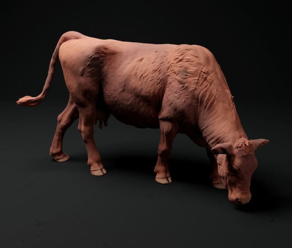 ADM1018 Red Devon Cow Grazing x 6