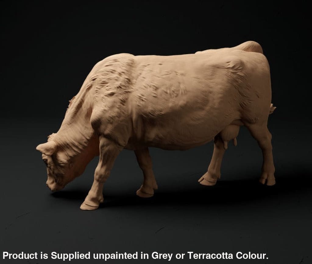 ADM1018 Red Devon Cow Grazing x 6