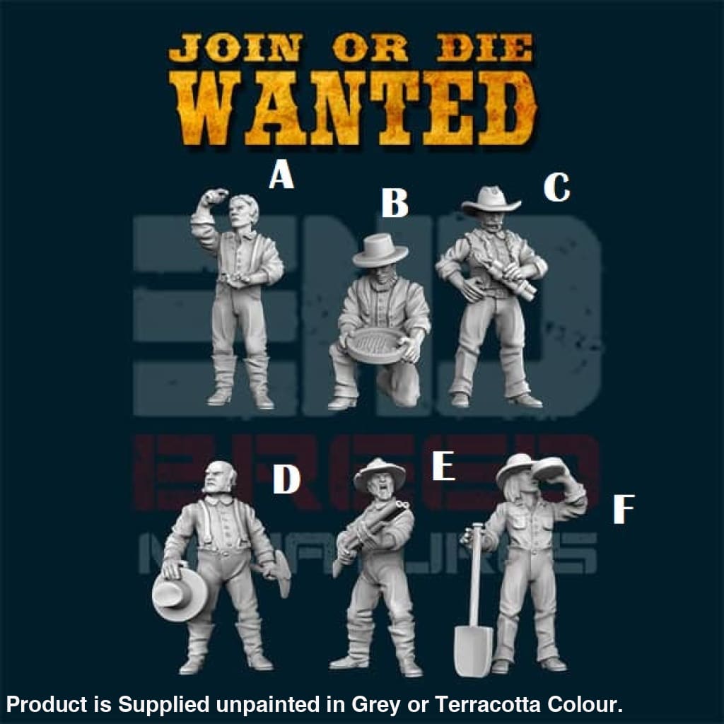 W005 Gold Prospectors